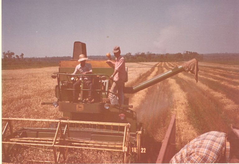 3-25､初期コンバイン