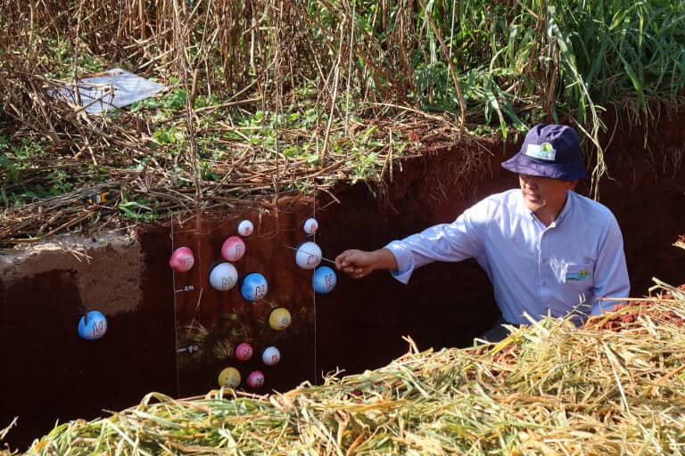 Explicacion de los componentes del suelo