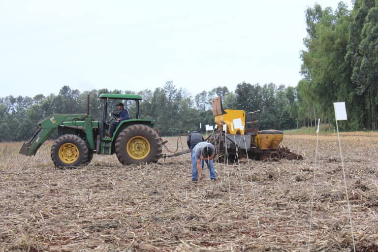 Inicio de las plantaciones para dia de campo