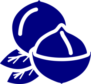 Icono de macadamia
